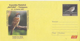ANIMALS, BIRDS,SPARROWS, EURASIAN TREE SPARROW, COVER STATIONERY, ENTIER POSTAL, 2007, ROMANIA - Spatzen