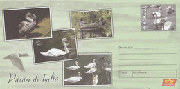 ANIMALS, BIRDS, SWANS, DUCKS, COVER STATIONERY, ENTIER POSTAL, 2015, ROMANIA - Cygnes