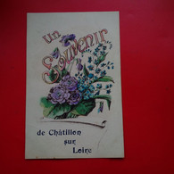 UN SOUVENIR DE CHATILLON SUR LOIRE - Chatillon Sur Loire