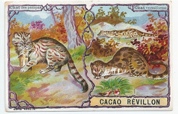 Chromos Cacao Revillon Les Chats Chat Des Pampas Chat Vermiforme - Revillon