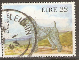 Ireland  1983  SG  558  Kerry Blue Terrier    Fine Used - Gebruikt