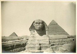 241120 - PHOTO Années 1920 - EGYPTE La Pyramide Et Le Sphinx De GIZEH De Face - Guiza