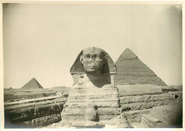 241120 - PHOTO Années 1920 - EGYPTE La Pyramide Et Le Sphinx De GIZEH De Face - Gizeh