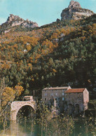 LES GORGES DU TARN. - Vieux Pont De La Muse Et Rocher De Capluc - Gorges Du Tarn