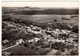 DAMAS-aux-BOIS - VOSGES - VUE PANORAMIQUE - 196? - Chatel Sur Moselle