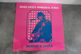 Disque De Homesick James - Home Sweet Homesick James - Big Bear Records 81004 - France 1981 - Blues