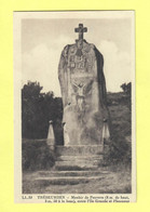 CPA 22 TREBEURDEN-Mégalithes Menhir Christianisé De Penvern (8 M De Haut, 3m50 A La Base) Entre L'Ile Grande Et Pleumeur - Dolmen & Menhirs