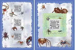 Guinea 2013, Animals, Spiders, 3val In BF+BF - Ragni