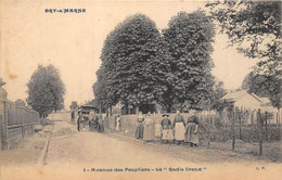 94-BRY-SUR-MARNE-AVENUE DES PEUPLIERS, LE RADIS CREUX - Bry Sur Marne