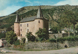 FLORAC. - L'ancien Château. CPM - Florac