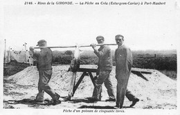 Saint Fort Sur Gironde           17      La Pêche Au Créa (Esturgeon Caviar) à Port Maubert      (voir Scan) - Autres & Non Classés