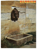 (X22) Australia - NSW - Berrina Bull Head Fountain At Gaol (8036) - Prison