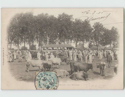 ALGERIE . TIARET ... Marché Aux Bestiaux (P.S.) Circulée 1905 - Tiaret