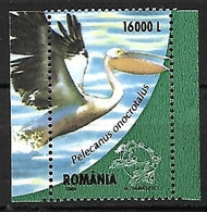 Romania - MNH ** 2004 :    Great White Pelican  -  Pelecanus Onocrotalus - Pelícanos