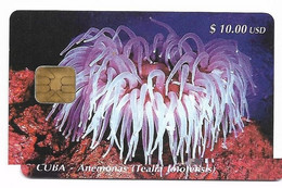 Delcampe - CUBA, Used Chip Phonecard, In Perfect Condition. Anémonas, # Cuba-20 - Kuba