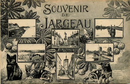 Jargeau * Souvenir De La Commune * Multivues - Jargeau