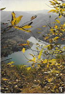 Espalion - Gorges De La Truyère , Lumière De L'Automne - Espalion