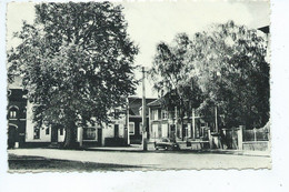 Saintes Place Adolphe Dupont ( Griffe Postale De Saintes ) - Tubize