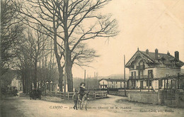 PYRENEES ATLANTIQUES   CAMBO LES BAINS  Chalet De Mr Flandé - Cambo-les-Bains