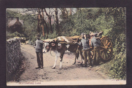 CPA GUERNSEY Royaume-Uni > Iles De La Manche > Guernsey Circulé - Guernsey