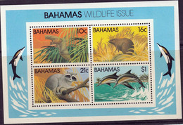 BAHAMAS - Faune, Animaux - Bloc - 1982 - Bahamas (1973-...)