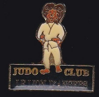 68518- Pin's.Judo Club Le Lion D'Angers. - Judo