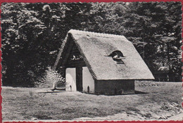 Merksem Het Park Pauw Paon Peacock - Antwerpen