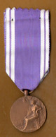 MÉDAILLE D'HONNEUR DES SERVICES BÉNÉVOLES - Réf. N°38M - - Professionnels / De Société