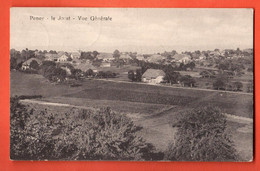ZFB-08   Peney-le-Jorat  Jorat-Menthue  Vue Générale Cachet 1918. Steiner 4098 - Jorat-Mézières