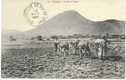 AGRICULTURE En AUVERGNE N° 93 -  LE PUY DE DOME -  " BELLE SCENE RURALE " - Datée 1910 - - Cultures