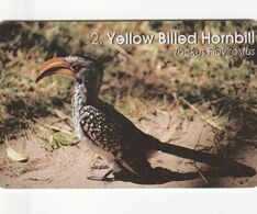Namibia - Birds Of Namibia - Yellow Billed Hornbill - Namibia