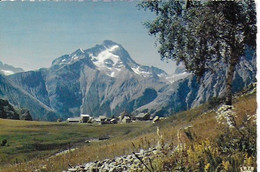 L'Alpe De Venosc : Vue Générale Et Le Pic De La Muzelle - Vénosc