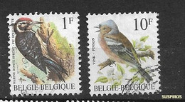 BELGIO / BELGIUM/  BELGIQUE  -       1990 Uccelli Di Buzin Common Chaffinch (Fringilla Coelebs)    Ø - Used Stamps