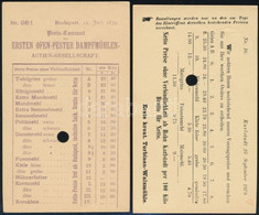 1876 2 Db Használatlan Díjjegyes Levelezőlap Különböző Hátoldali Felülnyomással - Andere & Zonder Classificatie