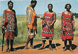 1212 - Rhodesien - Rhodesia , Tribal Life , Stamlewe , Swazi Men Of Noble Rank In Tribal Dress , Eingeborene , Ureinwohn - Zimbabwe