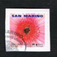 SAN MARINO     2005  POSTA ORDINARIA PER I GRANDI UTENTI - USED - Gebraucht