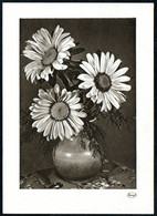 E4644 - TOP Stengel Glückwunschkarte - Blumen - Flowers