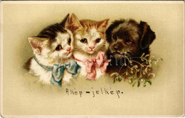 ** T2/T3 Cats With Dog. G.O.M. 2695. Litho (EK) - Zonder Classificatie