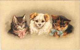 ** T2/T3 Cats With Dog. G.O.M. 1845. Litho - Zonder Classificatie