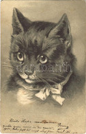 T2/T3 1904 Cat. Emb. Litho (EK) - Zonder Classificatie