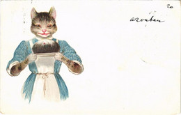 T3 1899 Cat With Cake. Litho (worn Corner) - Zonder Classificatie