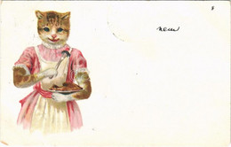 T4 1899 Cat With Pie. Litho (EM) - Zonder Classificatie