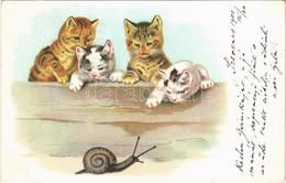 T2 1901 Cats With Snail. Litho - Zonder Classificatie