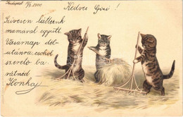 T2 1900 Cats With Rakes. Meissner & Buch Postkarten Serie 1042. "Katz U. Hund In Frohem Bund" Litho - Zonder Classificatie