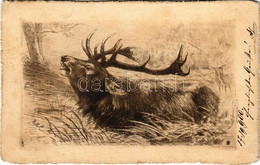 T2/T3 1900 Reindeer, Hunting Art Postcard (EK) - Non Classés