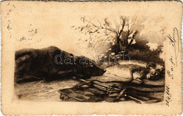 T2/T3 1900 Hunter's Rifle, Dog And Rabbits, Hunting Art Postcard (fl) - Non Classés