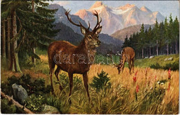 ** T2 Deer, Hunting Art Postcard - Non Classés