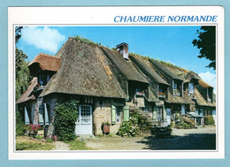 CP Normandie - Chaumière Normande - Haute-Normandie