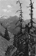 Bei Gstaad Im Hintergrund Das Spizhorn - Gstaad