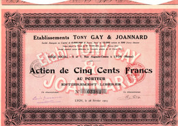 Action De 500 Frcs Au Porteur -  Etablissements TONY GAY & JOANNARD S.A. - Pelleterie - Lyon 1923. - Industrie